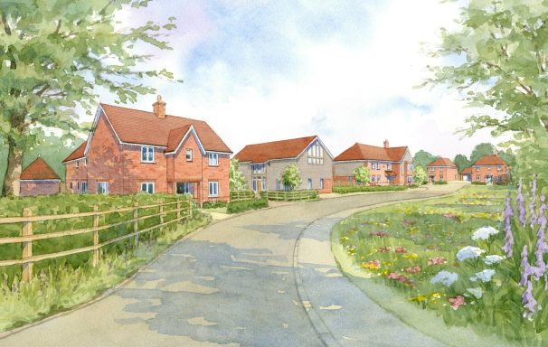 Watercolour street view Watercolour artist impression street view of proposed residential development with meadow planting