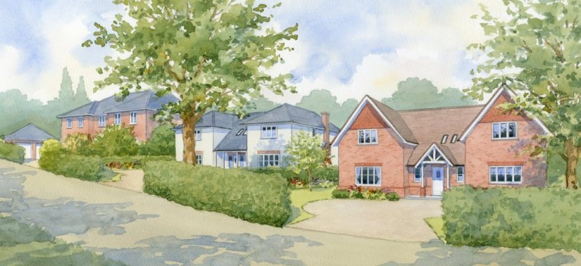Detached homes along sloping road Watercolor artist impression of detached houses along a sloping country lane.